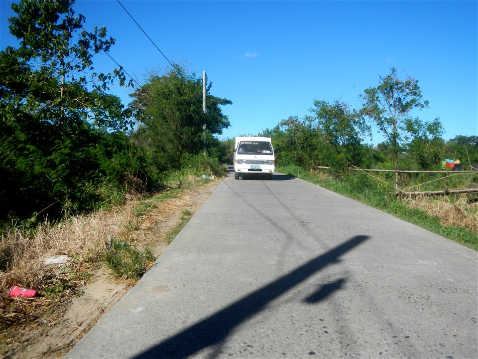 Paddy fields, grasslands, fishponds, irrigation canals, Kangkung (Ipomoea aquatica) and trees (Lapnit & Calasag, San Ildefonso, Bulacan Farm to Market Road) Villages and sitios of Calasag, San Ild