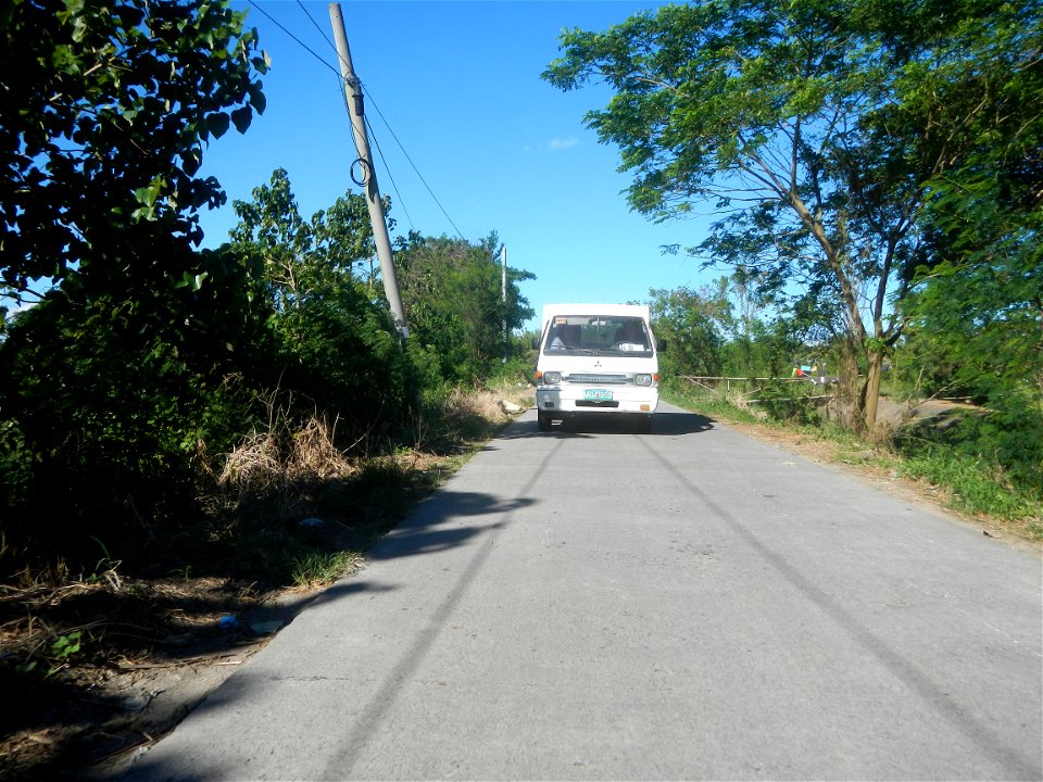 Paddy fields, grasslands, fishponds, irrigation canals, Kangkung (Ipomoea aquatica) and trees (Lapnit & Calasag, San Ildefonso, Bulacan Farm to Market Road) Villages and sitios of Calasag, San Ild