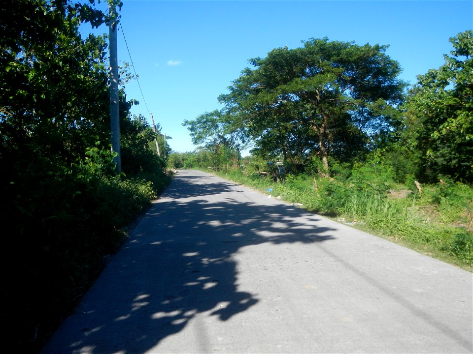 Paddy fields, grasslands, fishponds, irrigation canals, Kangkung (Ipomoea aquatica) and trees (Lapnit & Calasag, San Ildefonso, Bulacan Farm to Market Road) Villages and sitios of Calasag, San Ild