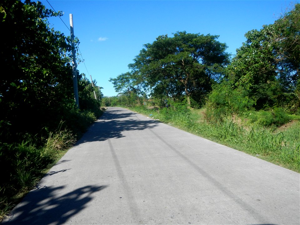 Paddy fields, grasslands, fishponds, irrigation canals, Kangkung (Ipomoea aquatica) and trees (Lapnit & Calasag, San Ildefonso, Bulacan Farm to Market Road) Villages and sitios of Calasag, San Ild