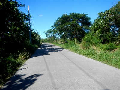 Paddy fields, grasslands, fishponds, irrigation canals, Kangkung (Ipomoea aquatica) and trees (Lapnit & Calasag, San Ildefonso, Bulacan Farm to Market Road) Villages and sitios of Calasag, San Ild