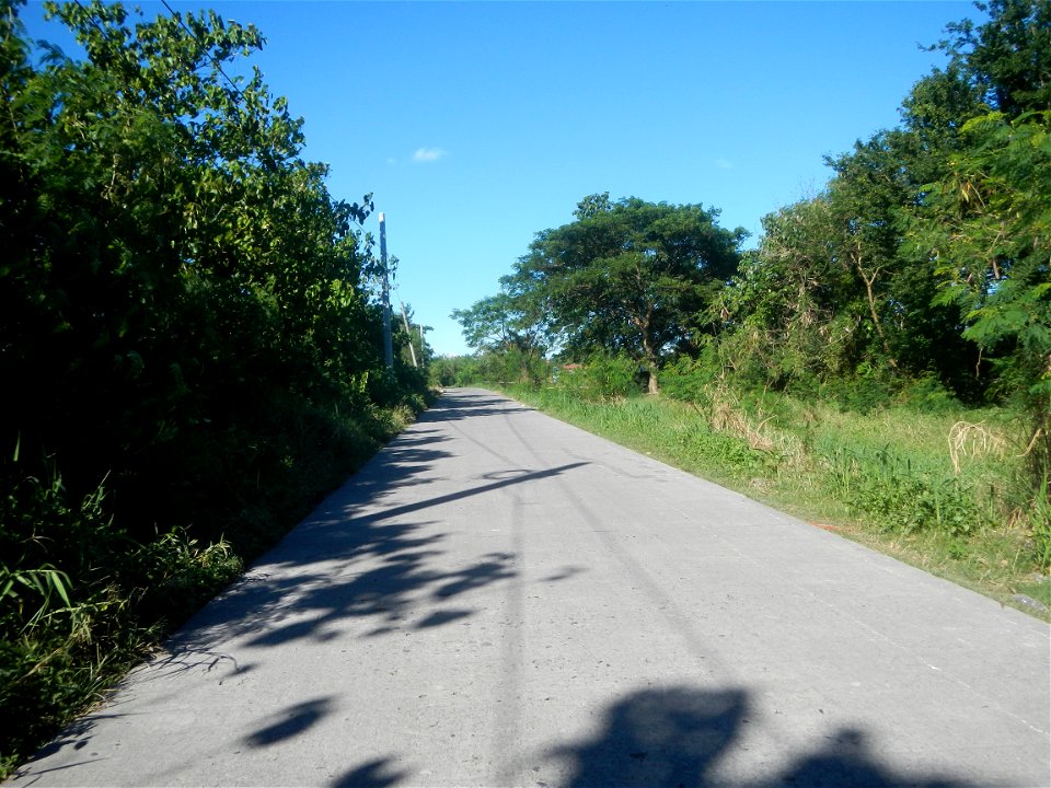 Paddy fields, grasslands, fishponds, irrigation canals, Kangkung (Ipomoea aquatica) and trees (Lapnit & Calasag, San Ildefonso, Bulacan Farm to Market Road) Villages and sitios of Calasag, San Ild