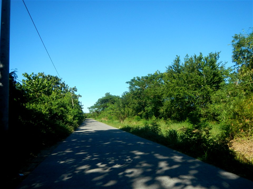 Paddy fields, grasslands, fishponds, irrigation canals, Kangkung (Ipomoea aquatica) and trees (Lapnit & Calasag, San Ildefonso, Bulacan Farm to Market Road) Villages and sitios of Calasag, San Ild