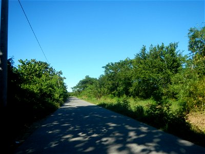 Paddy fields, grasslands, fishponds, irrigation canals, Kangkung (Ipomoea aquatica) and trees (Lapnit & Calasag, San Ildefonso, Bulacan Farm to Market Road) Villages and sitios of Calasag, San Ild