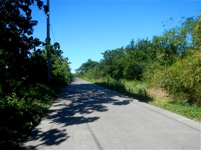 Paddy fields, grasslands, fishponds, irrigation canals, Kangkung (Ipomoea aquatica) and trees (Lapnit & Calasag, San Ildefonso, Bulacan Farm to Market Road) Villages and sitios of Calasag, San Ild