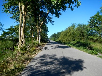 Paddy fields, grasslands, fishponds, irrigation canals, Kangkung (Ipomoea aquatica) and trees (Lapnit & Calasag, San Ildefonso, Bulacan Farm to Market Road) Villages and sitios of Calasag, San Ild