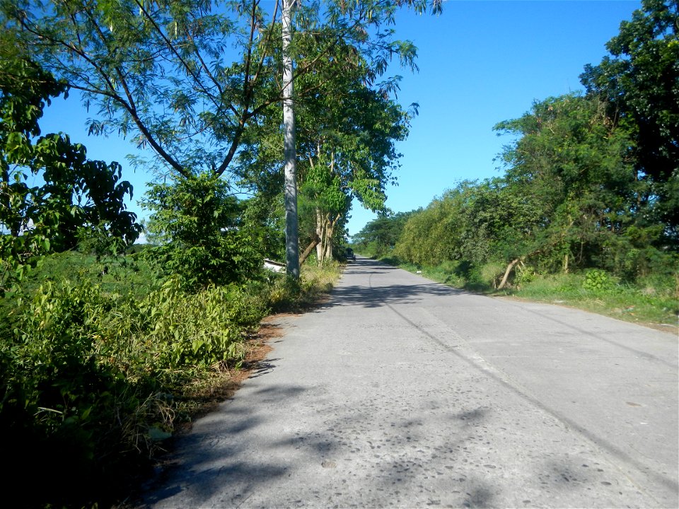 Paddy fields, grasslands, fishponds, irrigation canals, Kangkung (Ipomoea aquatica) and trees (Lapnit & Calasag, San Ildefonso, Bulacan Farm to Market Road) Villages and sitios of Calasag, San Ild