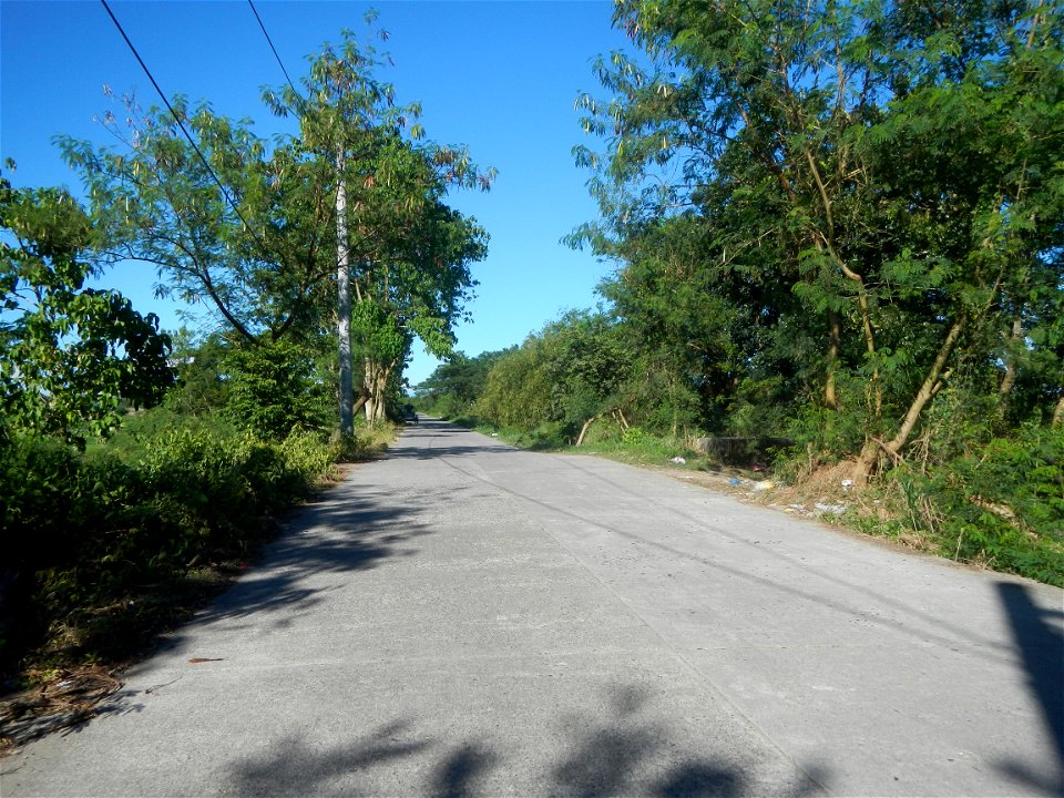 Paddy fields, grasslands, fishponds, irrigation canals, Kangkung (Ipomoea aquatica) and trees (Lapnit & Calasag, San Ildefonso, Bulacan Farm to Market Road) Villages and sitios of Calasag, San Ild