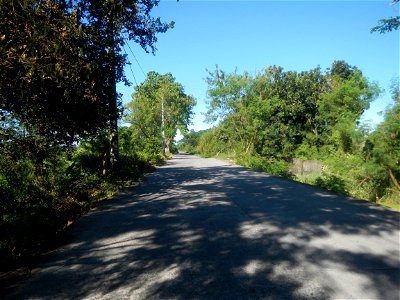 Paddy fields, grasslands, fishponds, irrigation canals, Kangkung (Ipomoea aquatica) and trees (Lapnit & Calasag, San Ildefonso, Bulacan Farm to Market Road) Villages and sitios of Calasag, San Ild