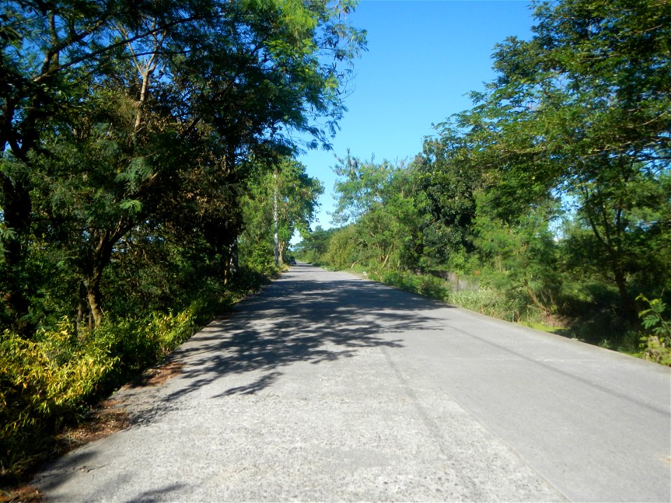 Paddy fields, grasslands, fishponds, irrigation canals, Kangkung (Ipomoea aquatica) and trees (Lapnit & Calasag, San Ildefonso, Bulacan Farm to Market Road) Villages and sitios of Calasag, San Ild