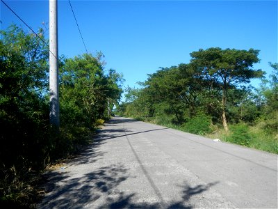 Paddy fields, grasslands, fishponds, irrigation canals, Kangkung (Ipomoea aquatica) and trees (Lapnit & Calasag, San Ildefonso, Bulacan Farm to Market Road) Villages and sitios of Calasag, San Ild