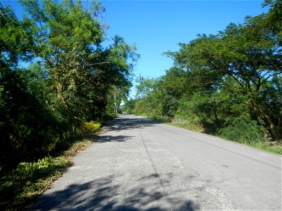 Paddy fields, grasslands, fishponds, irrigation canals, Kangkung (Ipomoea aquatica) and trees (Lapnit & Calasag, San Ildefonso, Bulacan Farm to Market Road) Villages and sitios of Calasag, San Ild