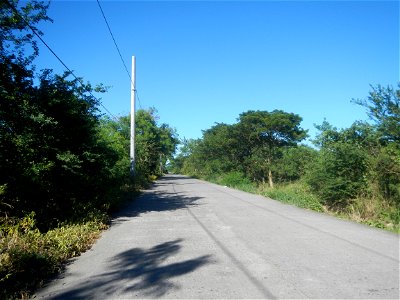 Paddy fields, grasslands, fishponds, irrigation canals, Kangkung (Ipomoea aquatica) and trees (Lapnit & Calasag, San Ildefonso, Bulacan Farm to Market Road) Villages and sitios of Calasag, San Ild