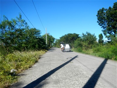 Paddy fields, grasslands, fishponds, irrigation canals, Kangkung (Ipomoea aquatica) and trees (Lapnit & Calasag, San Ildefonso, Bulacan Farm to Market Road) Villages and sitios of Calasag, San Ild