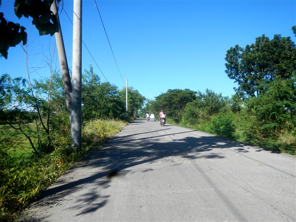 Paddy fields, grasslands, fishponds, irrigation canals, Kangkung (Ipomoea aquatica) and trees (Lapnit & Calasag, San Ildefonso, Bulacan Farm to Market Road) Villages and sitios of Calasag, San Ild