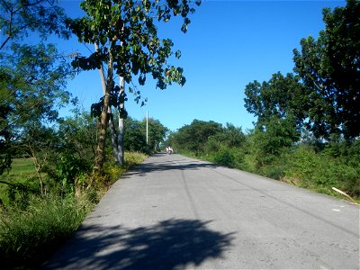 Paddy fields, grasslands, fishponds, irrigation canals, Kangkung (Ipomoea aquatica) and trees (Lapnit & Calasag, San Ildefonso, Bulacan Farm to Market Road) Villages and sitios of Calasag, San Ild