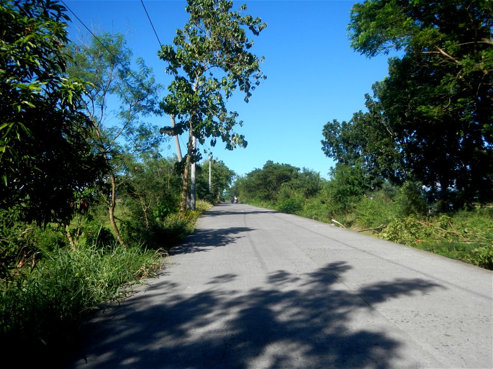 Paddy fields, grasslands, fishponds, irrigation canals, Kangkung (Ipomoea aquatica) and trees (Lapnit & Calasag, San Ildefonso, Bulacan Farm to Market Road) Villages and sitios of Calasag, San Ild