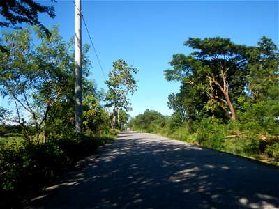 Paddy fields, grasslands, fishponds, irrigation canals, Kangkung (Ipomoea aquatica) and trees (Lapnit & Calasag, San Ildefonso, Bulacan Farm to Market Road) Villages and sitios of Calasag, San Ild
