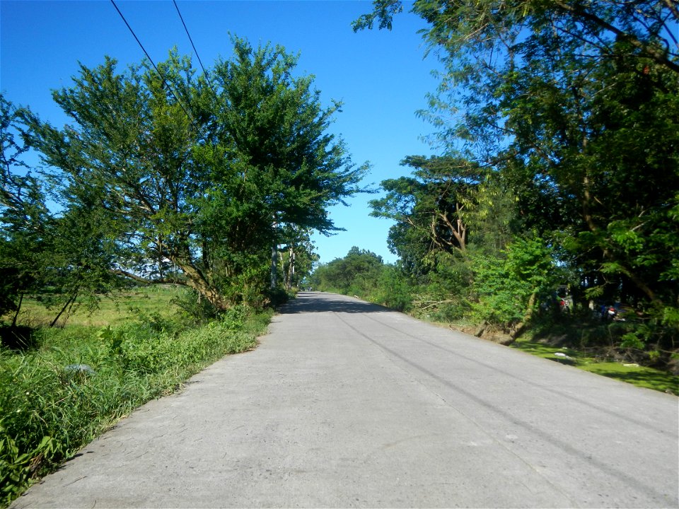 Paddy fields, grasslands, fishponds, irrigation canals, Kangkung (Ipomoea aquatica) and trees (Lapnit & Calasag, San Ildefonso, Bulacan Farm to Market Road) Villages and sitios of Calasag, San Ild