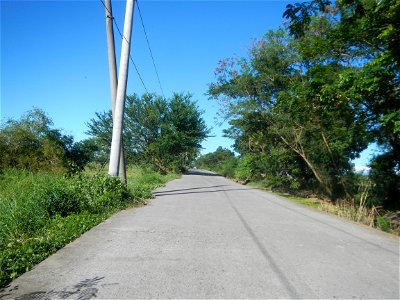 Paddy fields, grasslands, fishponds, irrigation canals, Kangkung (Ipomoea aquatica) and trees (Lapnit & Calasag, San Ildefonso, Bulacan Farm to Market Road) Villages and sitios of Calasag, San Ild
