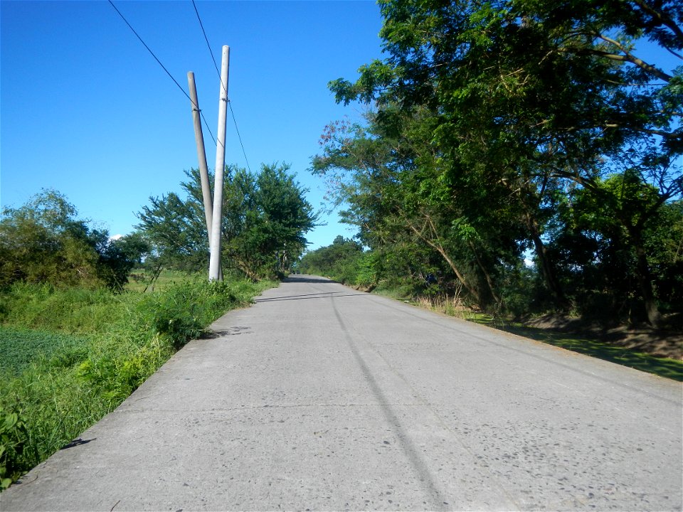 Paddy fields, grasslands, fishponds, irrigation canals, Kangkung (Ipomoea aquatica) and trees (Lapnit & Calasag, San Ildefonso, Bulacan Farm to Market Road) Villages and sitios of Calasag, San Ild