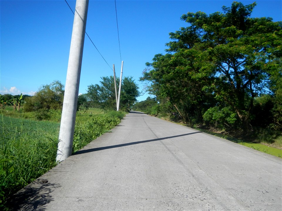 Paddy fields, grasslands, fishponds, irrigation canals, Kangkung (Ipomoea aquatica) and trees (Lapnit & Calasag, San Ildefonso, Bulacan Farm to Market Road) Villages and sitios of Calasag, San Ild