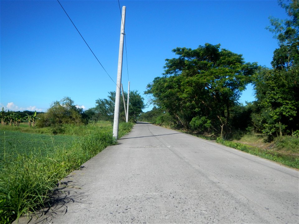 Paddy fields, grasslands, fishponds, irrigation canals, Kangkung (Ipomoea aquatica) and trees (Lapnit & Calasag, San Ildefonso, Bulacan Farm to Market Road) Villages and sitios of Calasag, San Ild