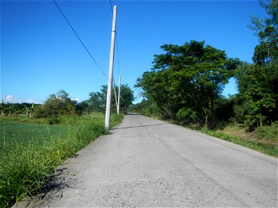Paddy fields, grasslands, fishponds, irrigation canals, Kangkung (Ipomoea aquatica) and trees (Lapnit & Calasag, San Ildefonso, Bulacan Farm to Market Road) Villages and sitios of Calasag, San Ild