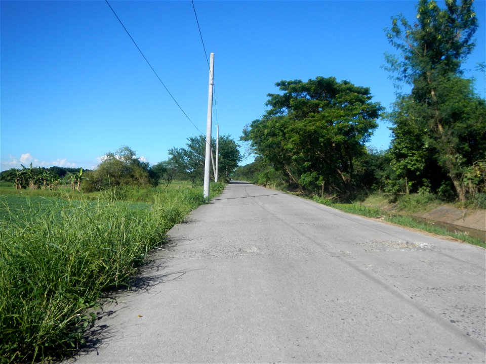 Paddy fields, grasslands, fishponds, irrigation canals, Kangkung (Ipomoea aquatica) and trees (Lapnit & Calasag, San Ildefonso, Bulacan Farm to Market Road) Villages and sitios of Calasag, San Ild