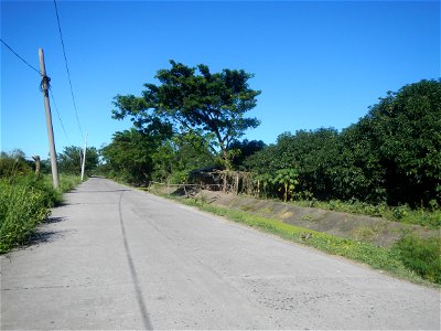 Paddy fields, grasslands, fishponds, irrigation canals, Kangkung (Ipomoea aquatica) and trees (Lapnit & Calasag, San Ildefonso, Bulacan Farm to Market Road) Villages and sitios of Calasag, San Ild