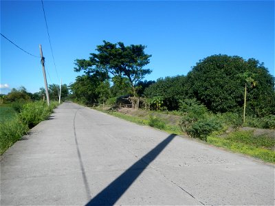 Paddy fields, grasslands, fishponds, irrigation canals, Kangkung (Ipomoea aquatica) and trees (Lapnit & Calasag, San Ildefonso, Bulacan Farm to Market Road) Villages and sitios of Calasag, San Ild