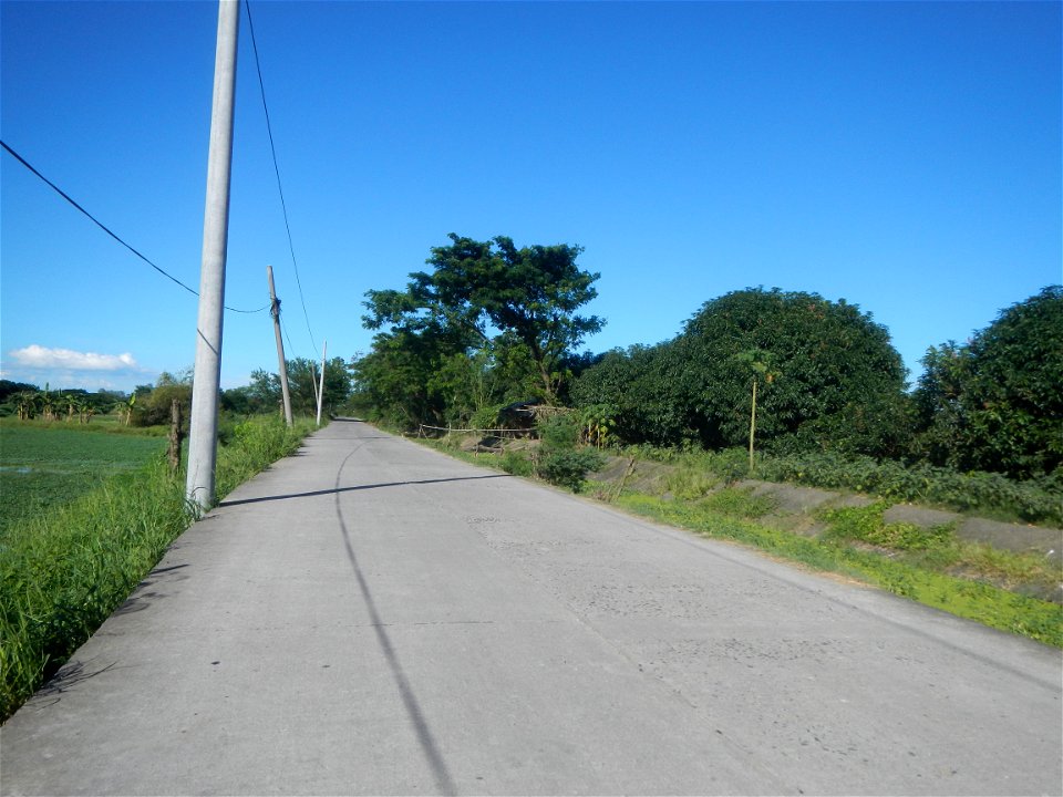 Paddy fields, grasslands, fishponds, irrigation canals, Kangkung (Ipomoea aquatica) and trees (Lapnit & Calasag, San Ildefonso, Bulacan Farm to Market Road) Villages and sitios of Calasag, San Ild