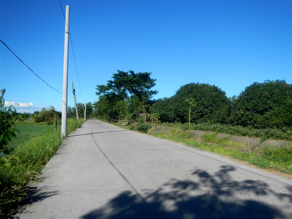 Paddy fields, grasslands, fishponds, irrigation canals, Kangkung (Ipomoea aquatica) and trees (Lapnit & Calasag, San Ildefonso, Bulacan Farm to Market Road) Villages and sitios of Calasag, San Ild