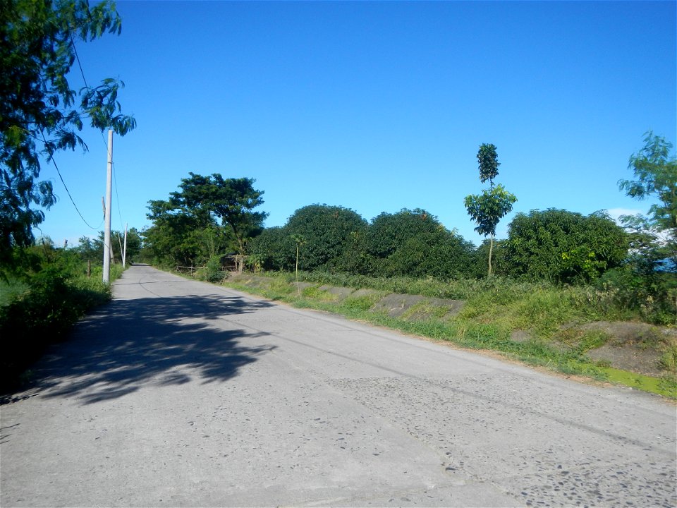 Paddy fields, grasslands, fishponds, irrigation canals, Kangkung (Ipomoea aquatica) and trees (Lapnit & Calasag, San Ildefonso, Bulacan Farm to Market Road) Villages and sitios of Calasag, San Ild