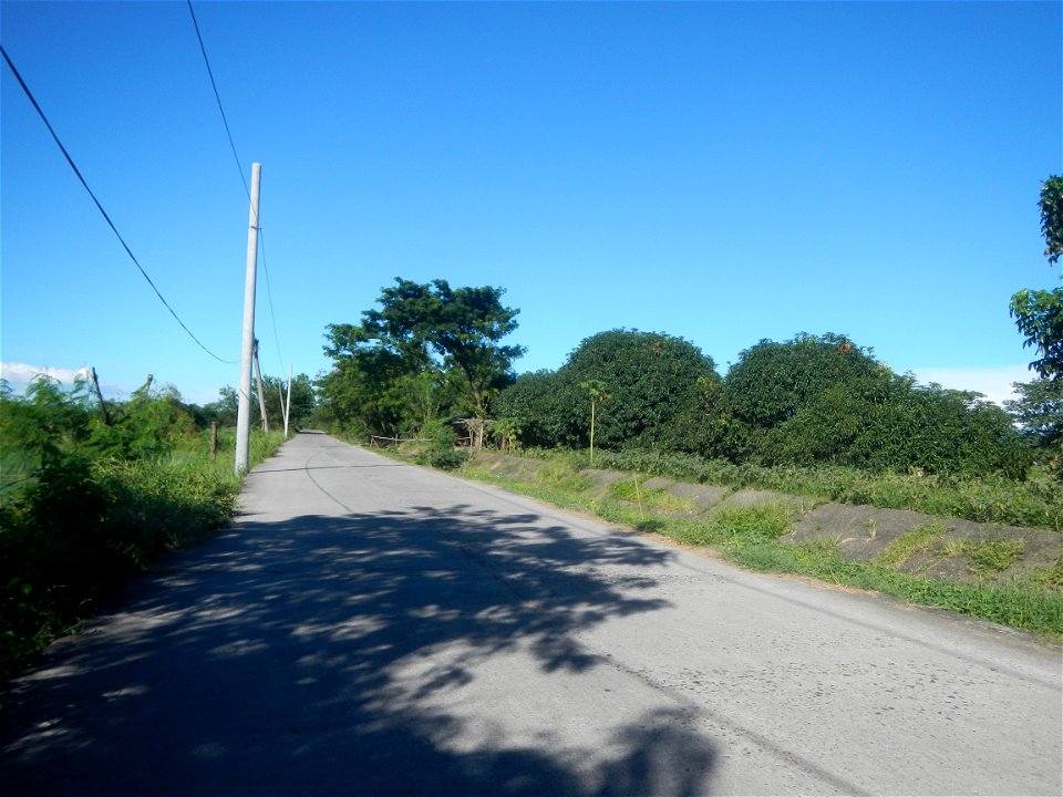Paddy fields, grasslands, fishponds, irrigation canals, Kangkung (Ipomoea aquatica) and trees (Lapnit & Calasag, San Ildefonso, Bulacan Farm to Market Road) Villages and sitios of Calasag, San Ild