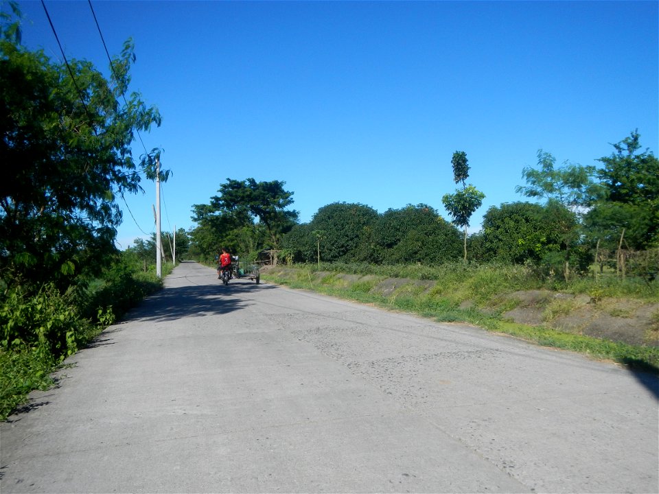 Paddy fields, grasslands, fishponds, irrigation canals, Kangkung (Ipomoea aquatica) and trees (Lapnit & Calasag, San Ildefonso, Bulacan Farm to Market Road) Villages and sitios of Calasag, San Ild