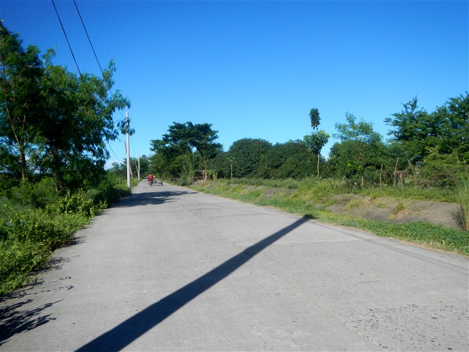 Paddy fields, grasslands, fishponds, irrigation canals, Kangkung (Ipomoea aquatica) and trees (Lapnit & Calasag, San Ildefonso, Bulacan Farm to Market Road) Villages and sitios of Calasag, San Ild