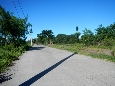 Paddy fields, grasslands, fishponds, irrigation canals, Kangkung (Ipomoea aquatica) and trees (Lapnit & Calasag, San Ildefonso, Bulacan Farm to Market Road) Villages and sitios of Calasag, San Ild