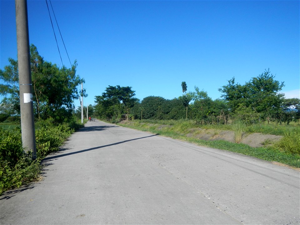 Paddy fields, grasslands, fishponds, irrigation canals, Kangkung (Ipomoea aquatica) and trees (Lapnit & Calasag, San Ildefonso, Bulacan Farm to Market Road) Villages and sitios of Calasag, San Ild