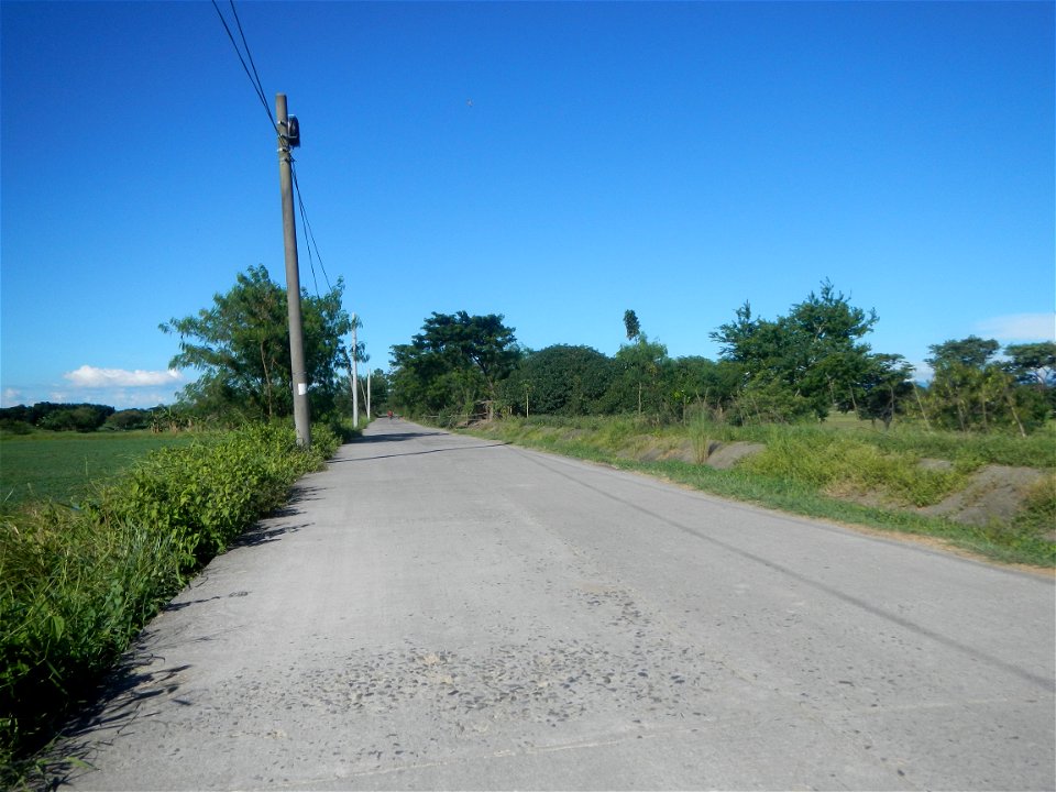 Paddy fields, grasslands, fishponds, irrigation canals, Kangkung (Ipomoea aquatica) and trees (Lapnit & Calasag, San Ildefonso, Bulacan Farm to Market Road) Villages and sitios of Calasag, San Ild
