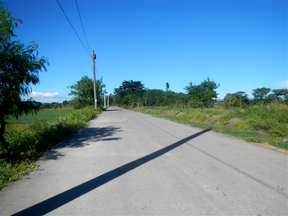 Paddy fields, grasslands, fishponds, irrigation canals, Kangkung (Ipomoea aquatica) and trees (Lapnit & Calasag, San Ildefonso, Bulacan Farm to Market Road) Villages and sitios of Calasag, San Ild