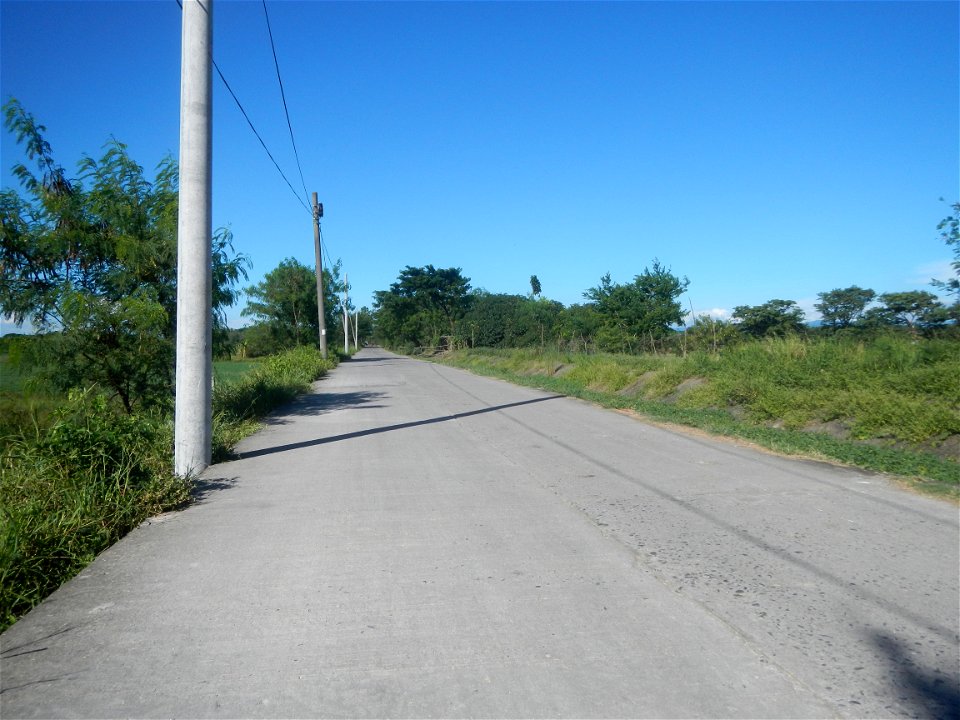 Paddy fields, grasslands, fishponds, irrigation canals, Kangkung (Ipomoea aquatica) and trees (Lapnit & Calasag, San Ildefonso, Bulacan Farm to Market Road) Villages and sitios of Calasag, San Ild
