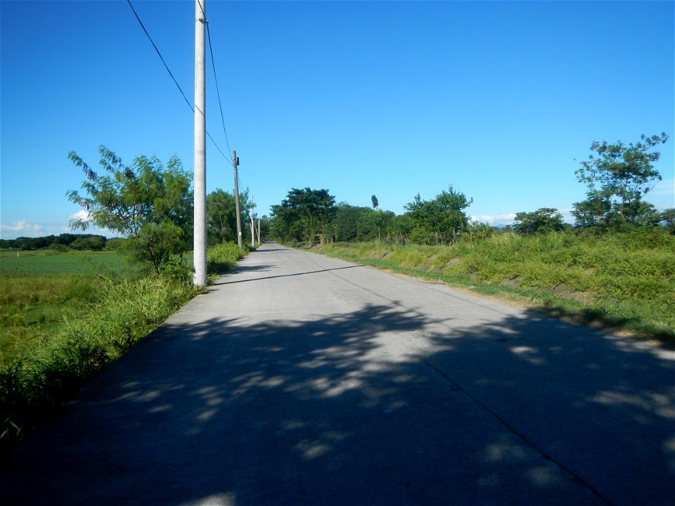 Paddy fields, grasslands, fishponds, irrigation canals, Kangkung (Ipomoea aquatica) and trees (Lapnit & Calasag, San Ildefonso, Bulacan Farm to Market Road) Villages and sitios of Calasag, San Ild