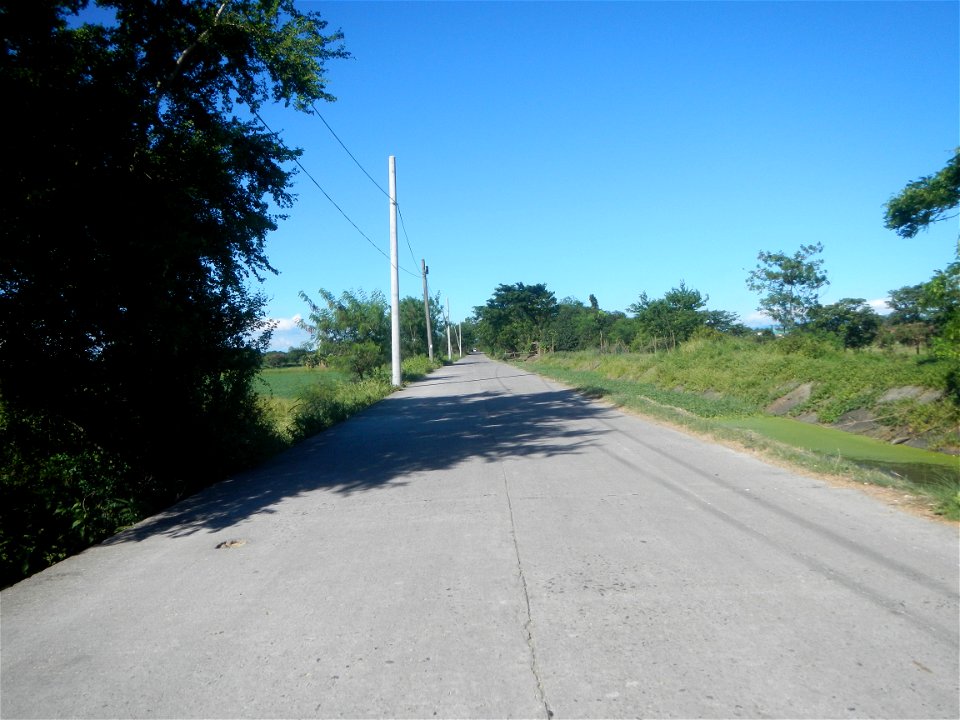 Paddy fields, grasslands, fishponds, irrigation canals, Kangkung (Ipomoea aquatica) and trees (Lapnit & Calasag, San Ildefonso, Bulacan Farm to Market Road) Villages and sitios of Calasag, San Ild