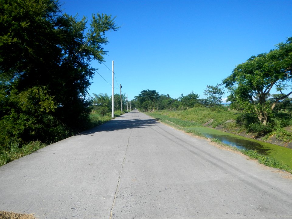 Paddy fields, grasslands, fishponds, irrigation canals, Kangkung (Ipomoea aquatica) and trees (Lapnit & Calasag, San Ildefonso, Bulacan Farm to Market Road) Villages and sitios of Calasag, San Ild