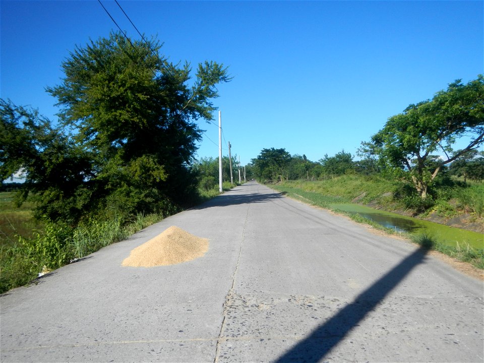 Paddy fields, grasslands, fishponds, irrigation canals, Kangkung (Ipomoea aquatica) and trees (Lapnit & Calasag, San Ildefonso, Bulacan Farm to Market Road) Villages and sitios of Calasag, San Ild