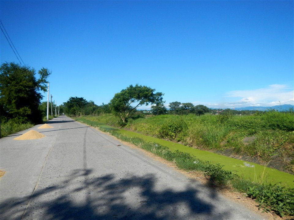 Paddy fields, grasslands, fishponds, irrigation canals, Kangkung (Ipomoea aquatica) and trees (Lapnit & Calasag, San Ildefonso, Bulacan Farm to Market Road) Villages and sitios of Calasag, San Ild