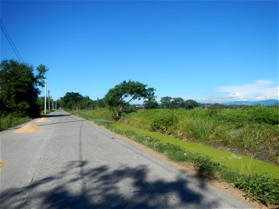 Paddy fields, grasslands, fishponds, irrigation canals, Kangkung (Ipomoea aquatica) and trees (Lapnit & Calasag, San Ildefonso, Bulacan Farm to Market Road) Villages and sitios of Calasag, San Ild photo