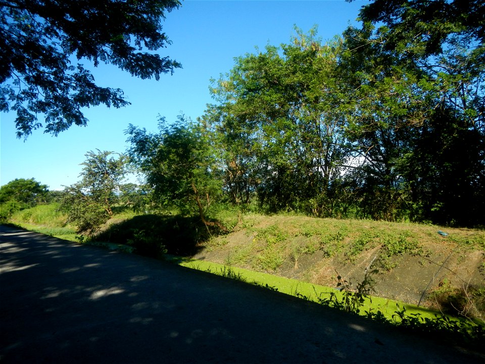 Paddy fields, grasslands, fishponds, irrigation canals, Kangkung (Ipomoea aquatica) and trees (Lapnit & Calasag, San Ildefonso, Bulacan Farm to Market Road) Villages and sitios of Calasag, San Ild