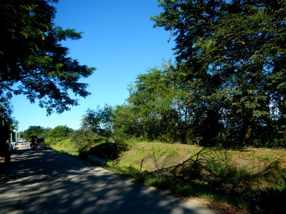Paddy fields, grasslands, fishponds, irrigation canals, Kangkung (Ipomoea aquatica) and trees (Lapnit & Calasag, San Ildefonso, Bulacan Farm to Market Road) Villages and sitios of Calasag, San Ild